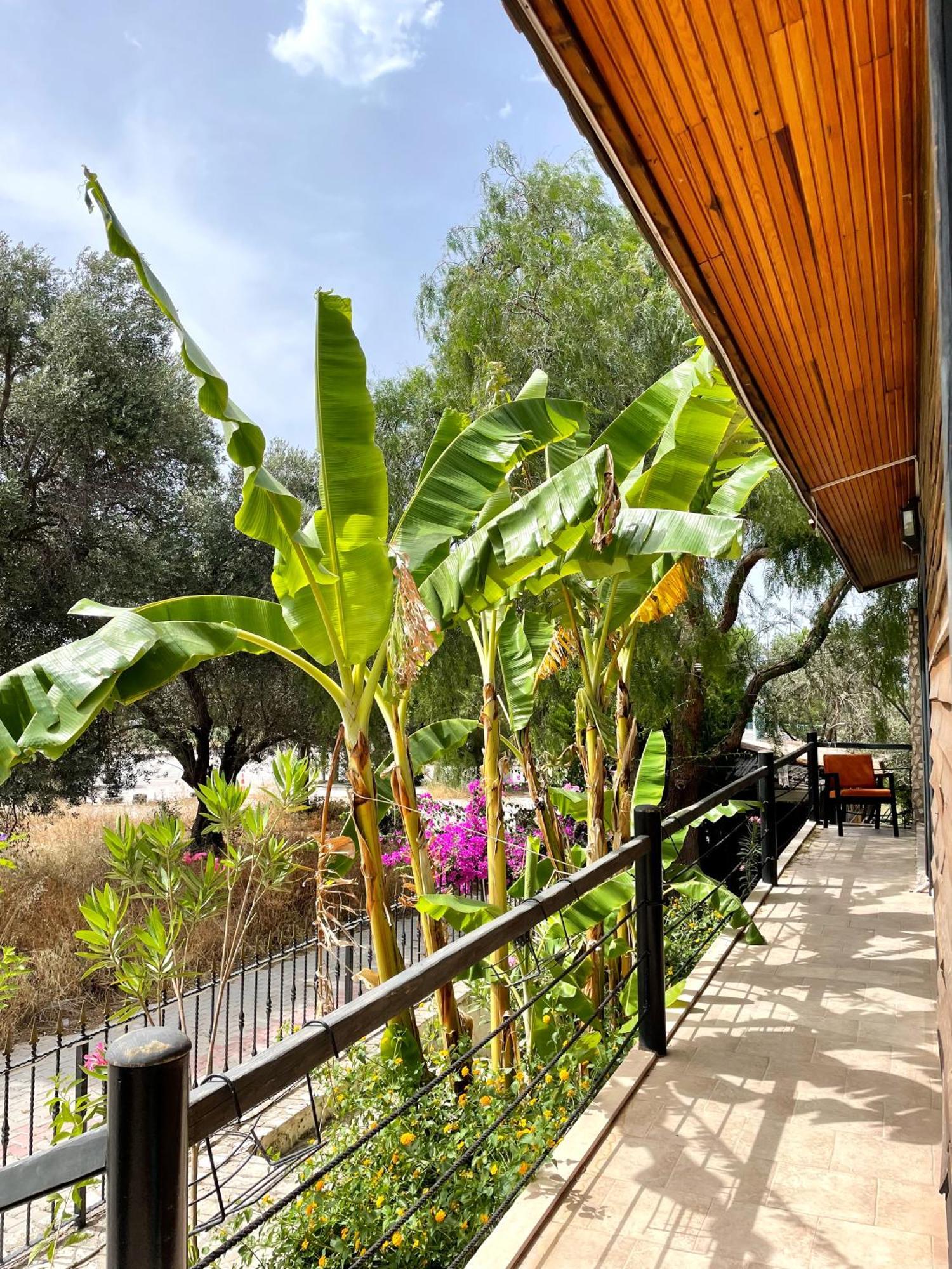 Ata Boutique Hotel Çeşme Eksteriør billede